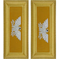 Army Shoulder Strap: Colonel Armor - female