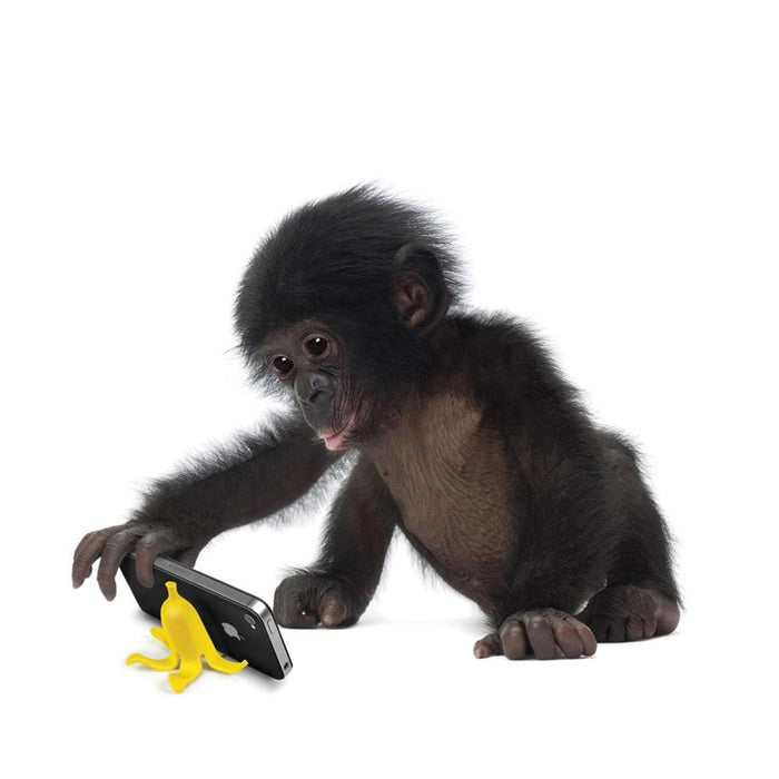 baby gorilla plays with Yellow Banana smartphone stand. yellow banana phone holder dunkin banana land alternative under $20
