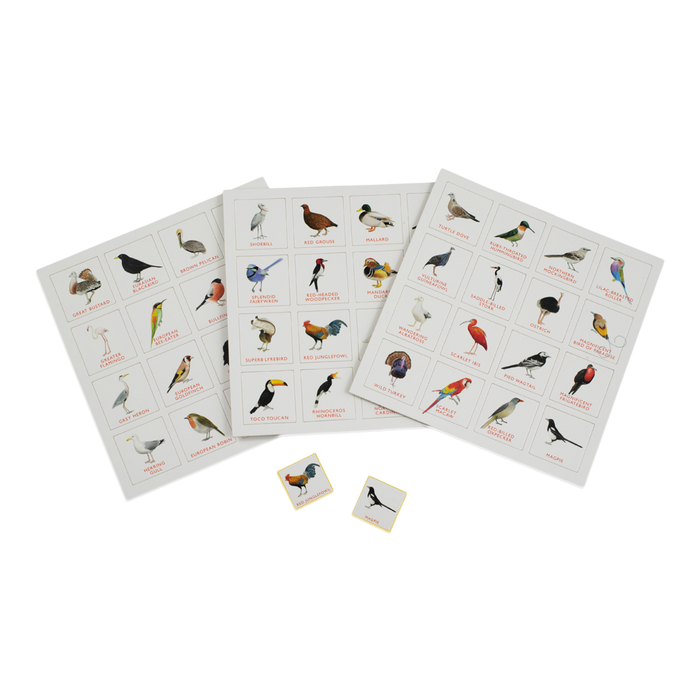 Bird Bingo