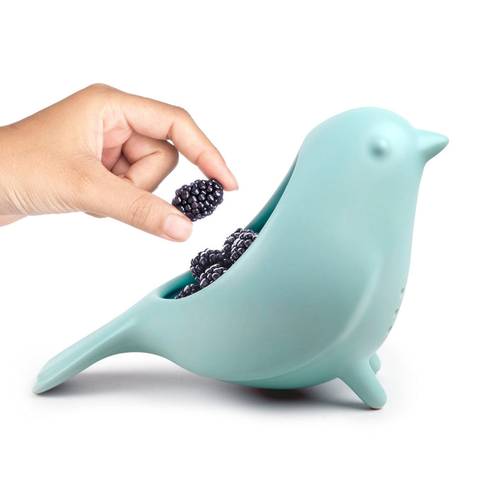 BLUE BIRD