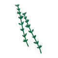 BOOK THYME