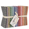 Brie Basics FQB 16 fabrics 21 x 19in