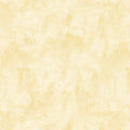 Chalk Texture - Pale Honey - 9488-30