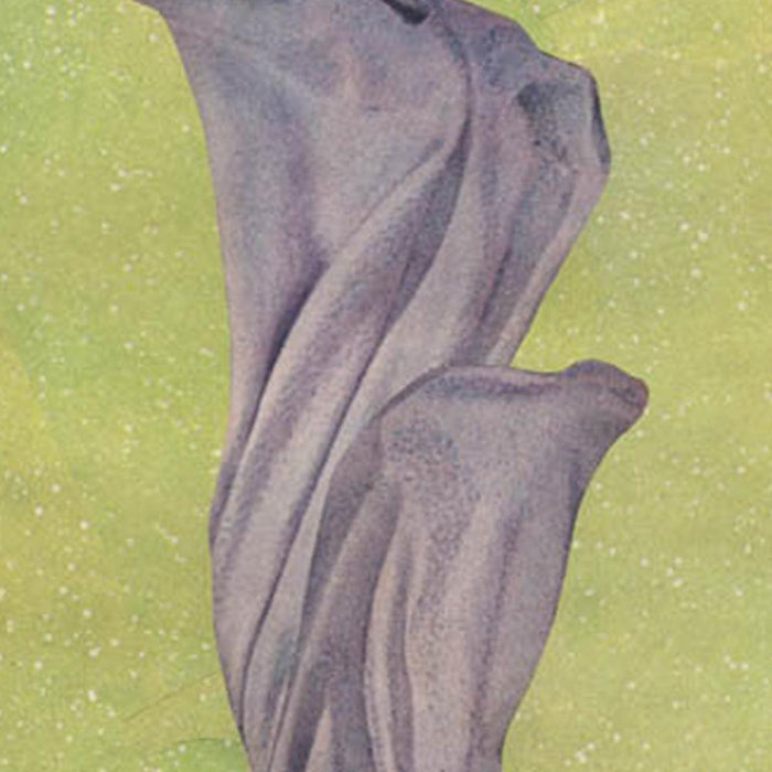 A close-up of Michael DeSutters Color Play 107 print a vertical abstract featuring draped purple fabric on a light