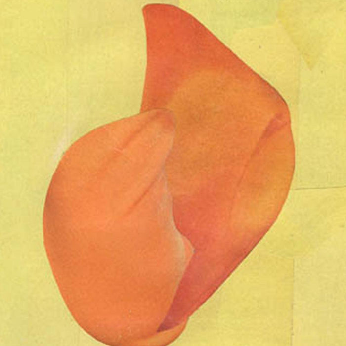 Abstract print with a vibrant orange fluid shape against a textured light yellow background