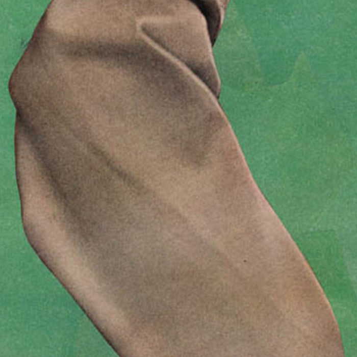 Close-up of Michael DeSutters print Color Play 98 showing a textured brown draped object on a green background
