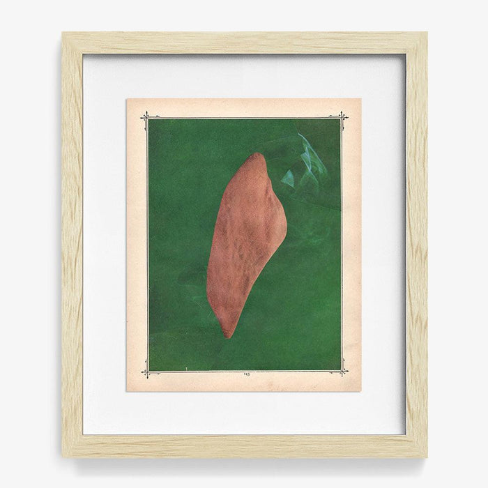 Abstract print featuring a dark peach shape on a deep green background framed in light wood