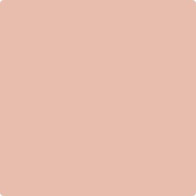 Shop the paint color 052 Conch Shell by Benjamin Moore at Anderson Paint Company in Ann Arbor, Michigan.