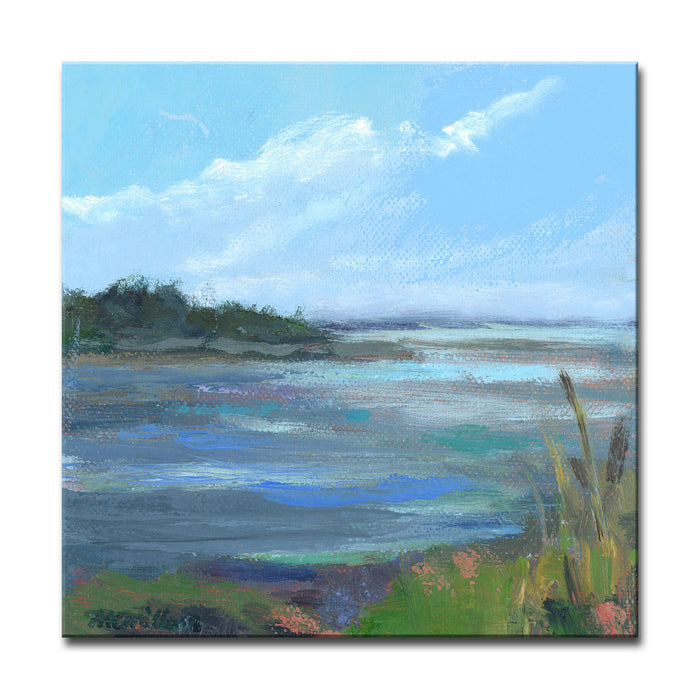 'Coral & Blues' Wrapped Canvas Wall Art