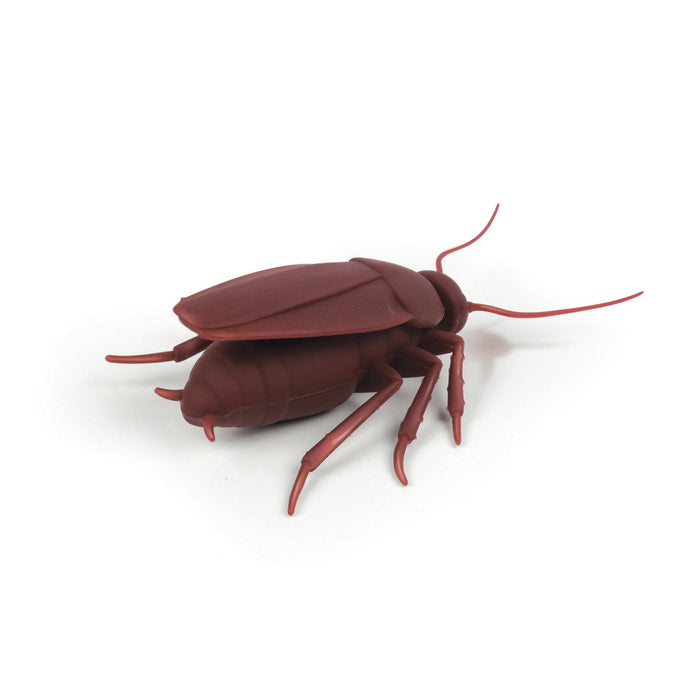 Cockroach bottle stopper isolated on a white background