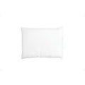 Cuddle Dreamzzz 12X16 Pillow Form