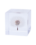 Dandelion Sola Cube