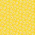 Dashwood Studio: Bee Happy - Daisies BEE.2312 - BEE 2312