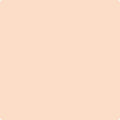 Shop the paint color 079 Daytona Peach by Benjamin Moore at Anderson Paint Company in Ann Arbor, Michigan.