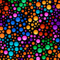 Dots - Black/Multi - Carnivale - 1649 26374 JX