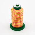 Exquisite® Variegated Thread - V101 Sunset