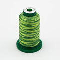 Exquisite® Variegated Thread - V102 Forest