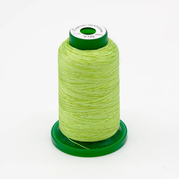 Exquisite® Variegated Thread - V125 Meadow