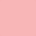Shop the paint color 2009-50 Fashion Pink by Benjamin Moore at Anderson Paint Company in Ann Arbor, Michigan.