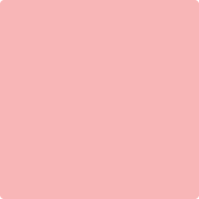 Shop the paint color 2009-50 Fashion Pink by Benjamin Moore at Anderson Paint Company in Ann Arbor, Michigan.