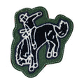FFA/Rodeo-Bareback Rider