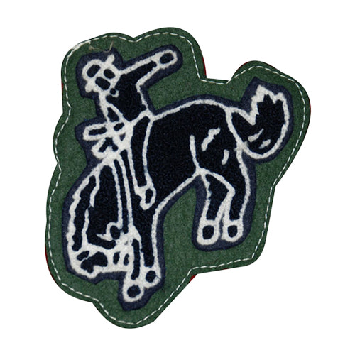 FFA/Rodeo-Bareback Rider