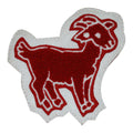 FFA/Rodeo-Goat