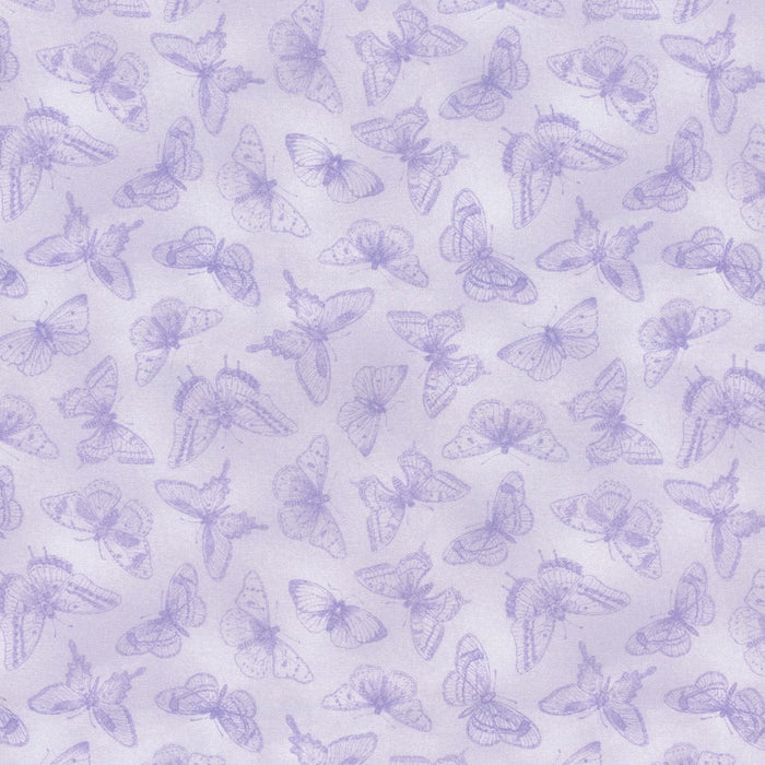 Fluttering Florals - Monochromatic Butterflies - 2170-55