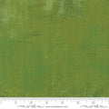 Grunge Basics - Zesty Apple - 30150-496