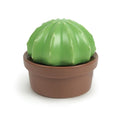 HOUSE PLANT