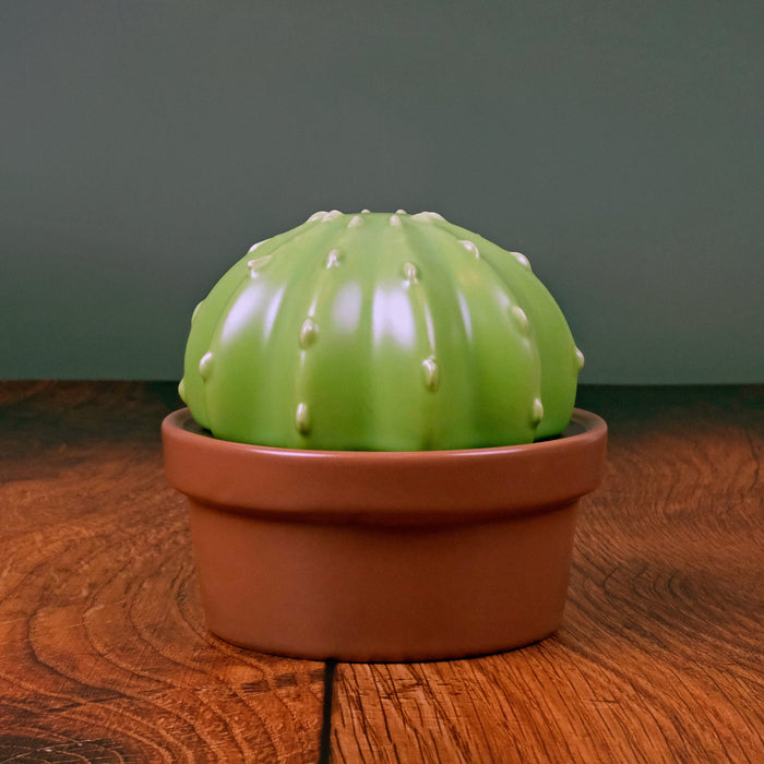 HOUSE PLANT