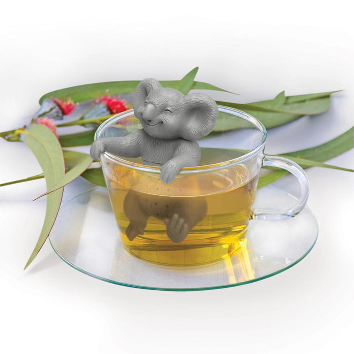 KOALA-TEA