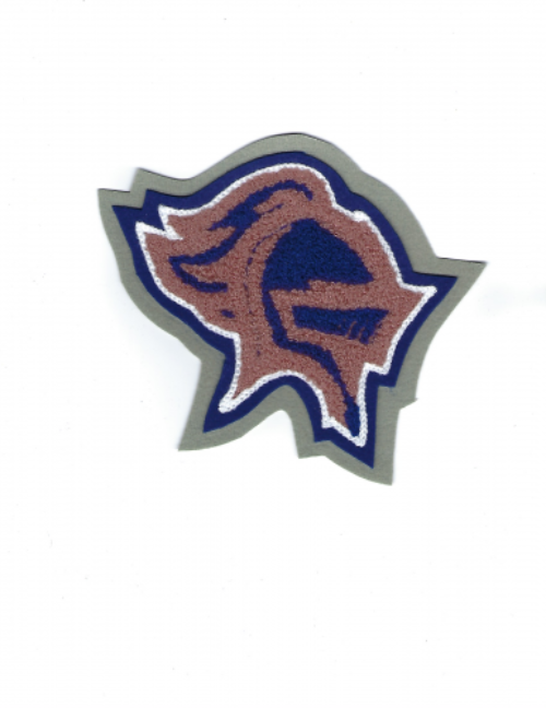Mascot-McCallum Knight