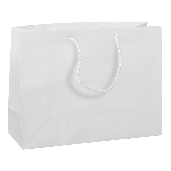 Matte Laminate Gift Bags