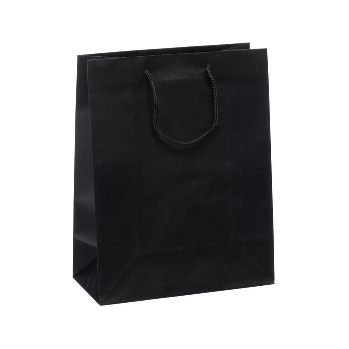 Matte Laminate Gift Bags