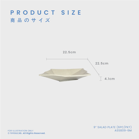 MIKA 9INCH SALAD PLATE 6S (AS5809-6)