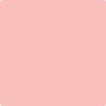 Shop the paint color 2011-50 Mixed Fruit by Benjamin Moore at Anderson Paint Company in Ann Arbor, Michigan.