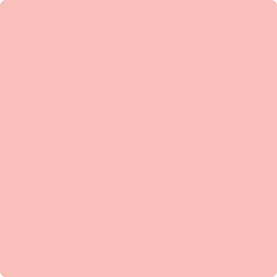 Shop the paint color 2011-50 Mixed Fruit by Benjamin Moore at Anderson Paint Company in Ann Arbor, Michigan.
