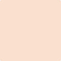 Shop the paint color 064 Nautilus Shell by Benjamin Moore at Anderson Paint Company in Ann Arbor, Michigan.