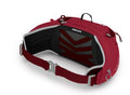 Osprey - Talon 6