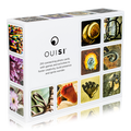 OuiSi Original: Games of Visual Connection