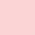 Shop the paint color 2009-60 Pink Sea Shell by Benjamin Moore at Anderson Paint Company in Ann Arbor, Michigan.