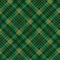 Poinsettias at Christmas - Plaid Green Foil - CF17633R-GREEN