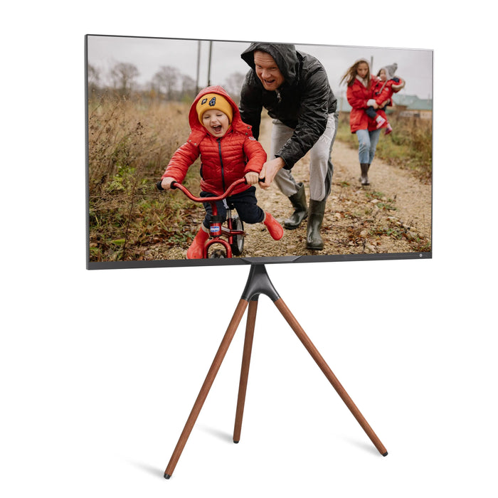 ProMounts Premium Artistic Easel Tripod TV Stand for 47-72 inch LED LCD OLED Flat and Curved Screens, Portable Height Adjustable TV Mount Stand for Bedroom, Living Room, Studio ProMounts TV Stand