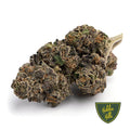 Purple Blizzard - Hidden Hills Club