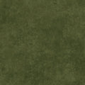 Shadow Play - Loden Green - MAS513-G49