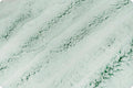 Shannon Fabrics -Luxe Cuddle Frost: Evergreen - Sold by the Yard
