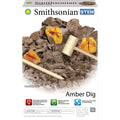 Box of the Smithsonian Amber Dig Value Set by Smithsonian, an educational kit with toy tools, artificial amber pieces containing insects, and a simulated earth block for kids to excavate fossils. For ages 8+.