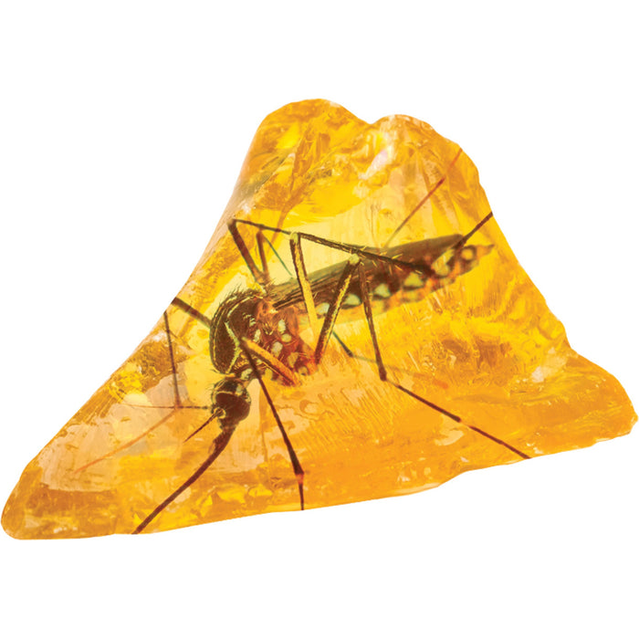 Discover the Smithsonian Amber Dig by Smithsonian—a transparent golden-yellow resin with a clearly visible preserved mosquito fossil. Perfect for paleontology enthusiasts or anyone seeking a unique STEM adventure!.