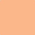 Shop the paint color 089 Tooty Fruity by Benjamin Moore at Anderson Paint Company in Ann Arbor, Michigan.